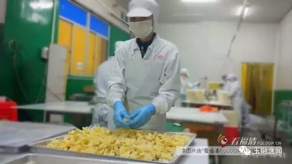 【福清人物】念其善:卖不起眼的水果,一年能卖近2亿元!