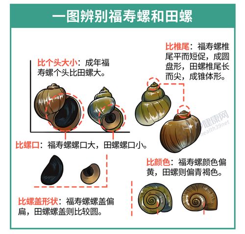 10g中毒,50g致死 这种食物,再喜欢也要少碰